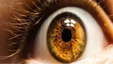 تشخیص اختلال تصویرسازی ذهن از روی مردمک چشم