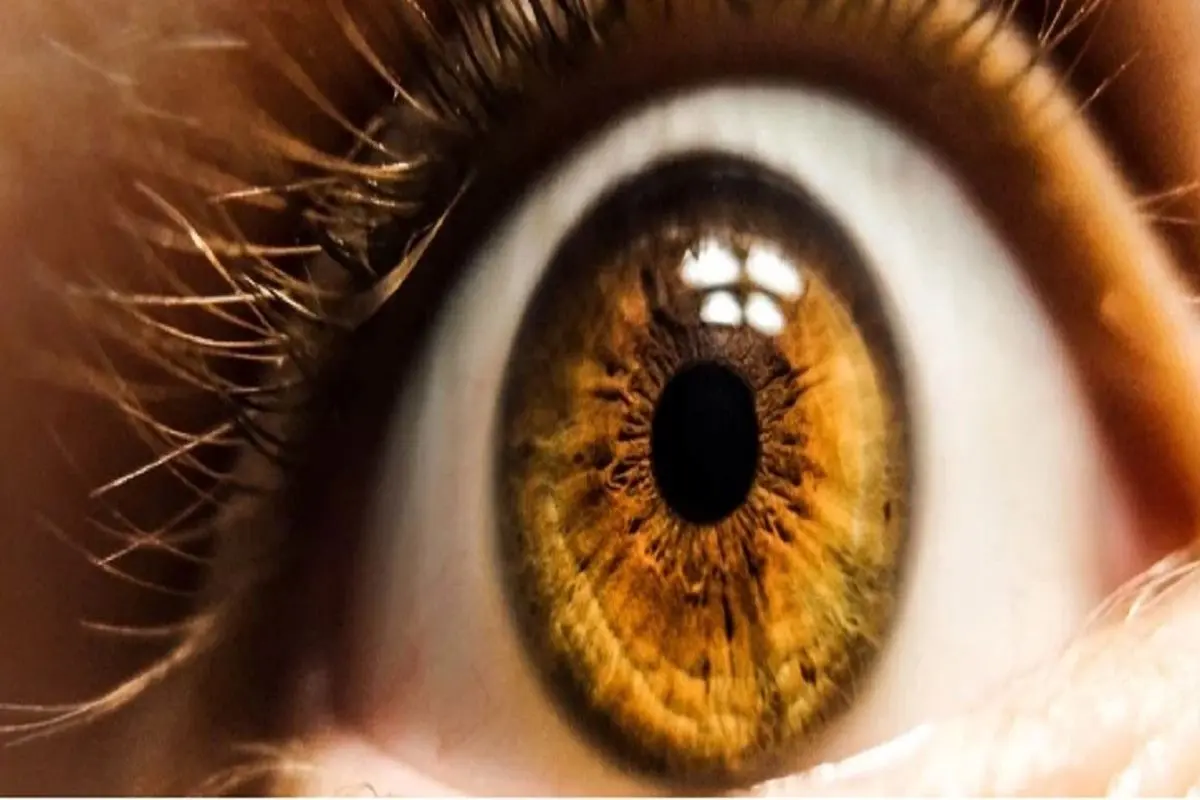 تشخیص اختلال تصویرسازی ذهن از روی مردمک چشم