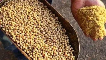 واردات کالاهای اساسی از واسطه های بین المللی ممنوع شد