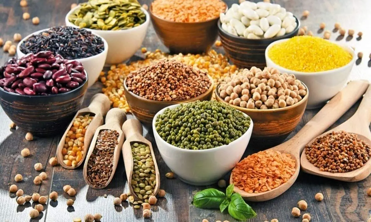 انواع حبوبات را در بازار چند بخریم؟ + فهرست قیمت