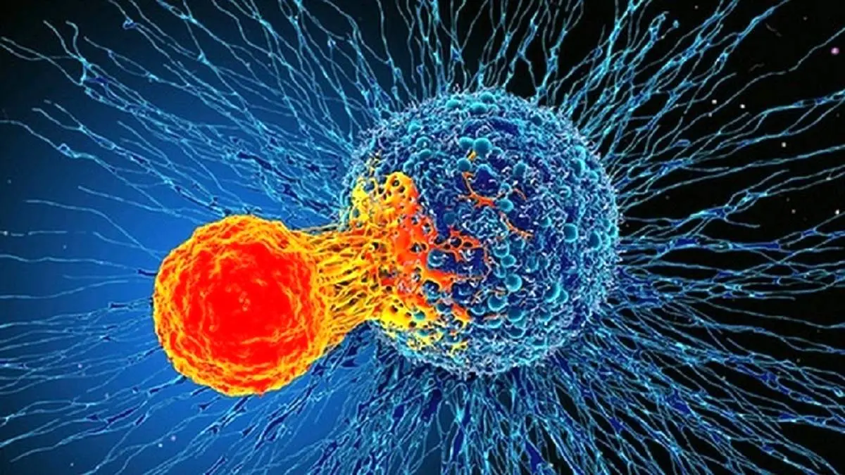 کاهش ۶۱ درصدی احتمال ابتلا به سرطان تنها با مصرف ۲ ویتامین