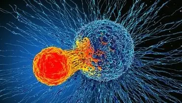 کاهش ۶۱ درصدی احتمال ابتلا به سرطان تنها با مصرف ۲ ویتامین