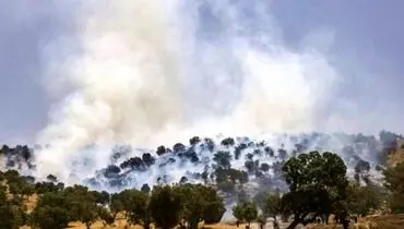 خطر آتش سوزی در کمین جنگل‌های زاگرس