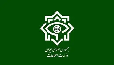 انتشار برخی شایعات علیه اتباع افغانستانی در فضای مجازی صحت ندارد