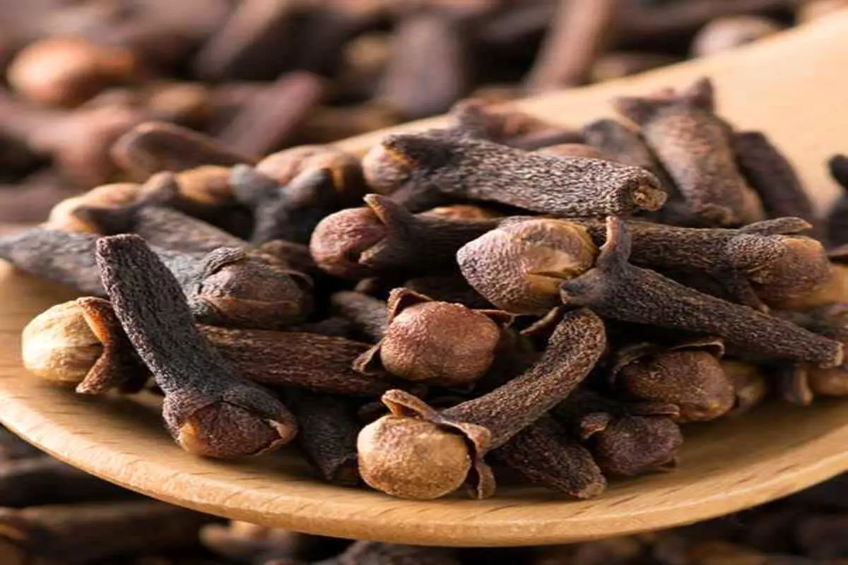خواص و مضرات مصرف سیر برای پیشگیری از پوکی استخوان