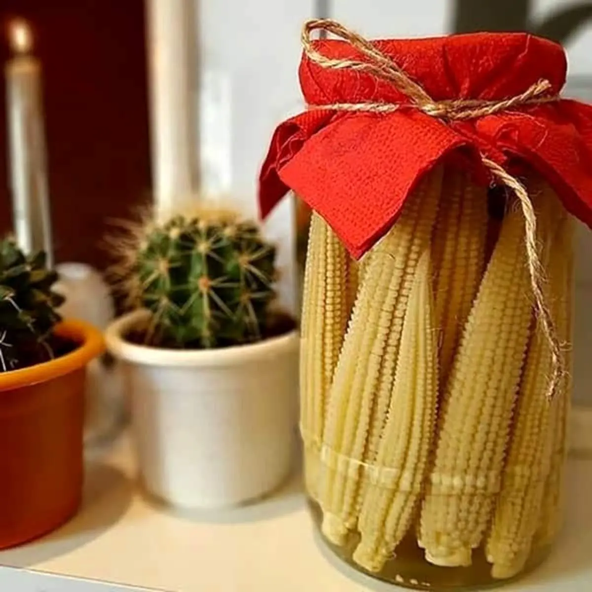 طرز تهیه ترشی بی بی کورن