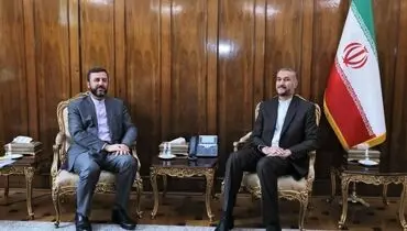 تاکید بر استیفای حقوق ایرانیان مقیم خارج از کشور و حفظ و صیانت از جایگاه آن‌ها