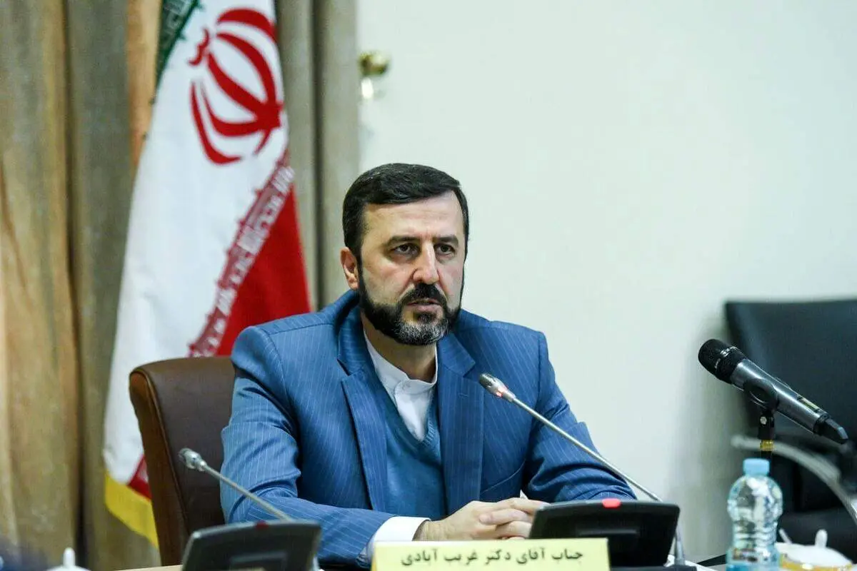 غریبآبادی: برنامه انگلیس برای انتقال اجباری پناهجویان نقض تعهدات بینالمللی این کشور است