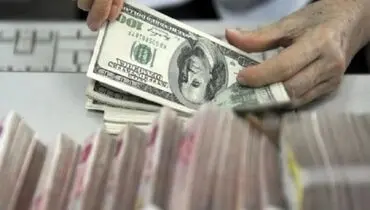 دولت هنوز تصمیم جامعی درباره ارز ترجیحی نگرفته است/ نگران این وضعیت هستیم