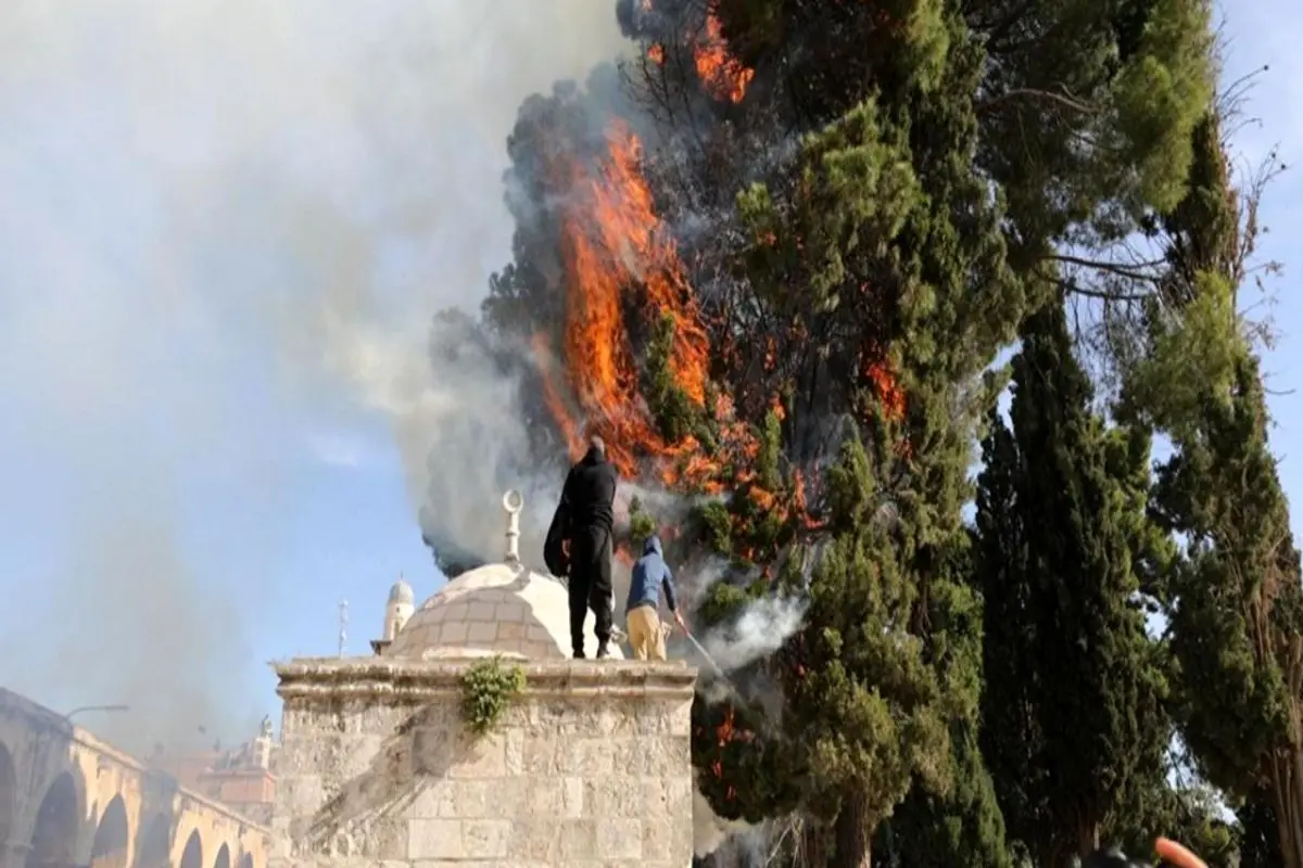 درگیری در مسجد الاقصی و آتش گرفتن درختان