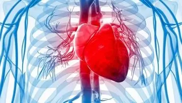 سابقه ناباروری با افزایش خطر نارسایی قلبی مرتبط است