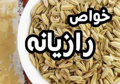 رازیانه ؛ معجزه طبیعی برای زنان یا دردسر پنهان؟
