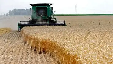 رکوردشکنی تورم ماهانه مواد غذایی در جهان