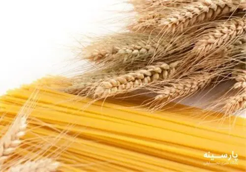 خبر خوش دولت درباره نرخ خرید تضمینی گندم کشاورزان