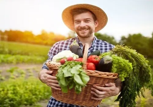 این سبزی از انواع سکته پیشگیری می کند!