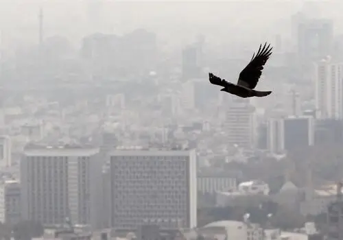 بازار اجاره مسکن در بحران جنگ و پساجنگ