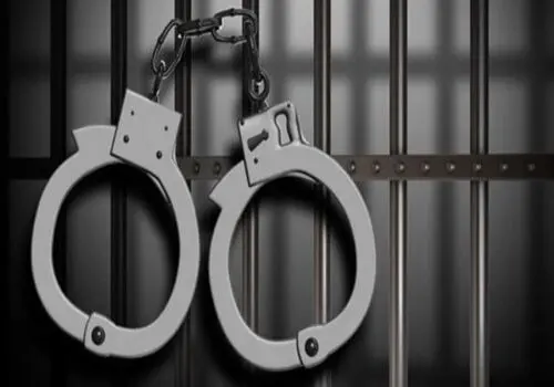 استرداد کلاهبردار ۹۰ میلیاردی به کشور