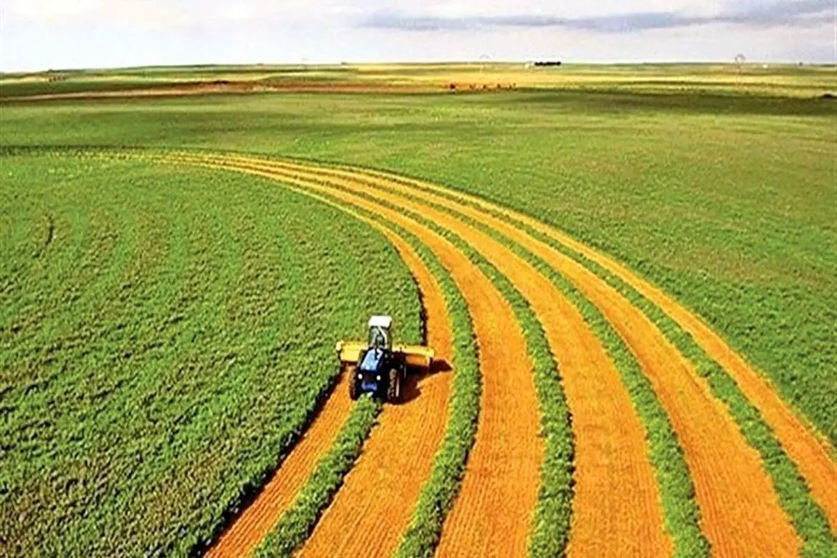 کشاورزی قراردادی تقریباً یک تسهیلات صفر درصد است