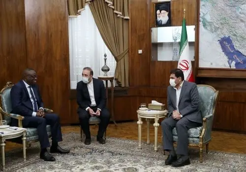 سقوط بالگرد در غنا جان دو وزیر را گرفت