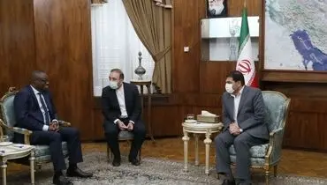 مخبر: فصل جدیدی در مناسبات ایران با کشورهای آفریقایی در دولت سیزدهم آغاز شده است