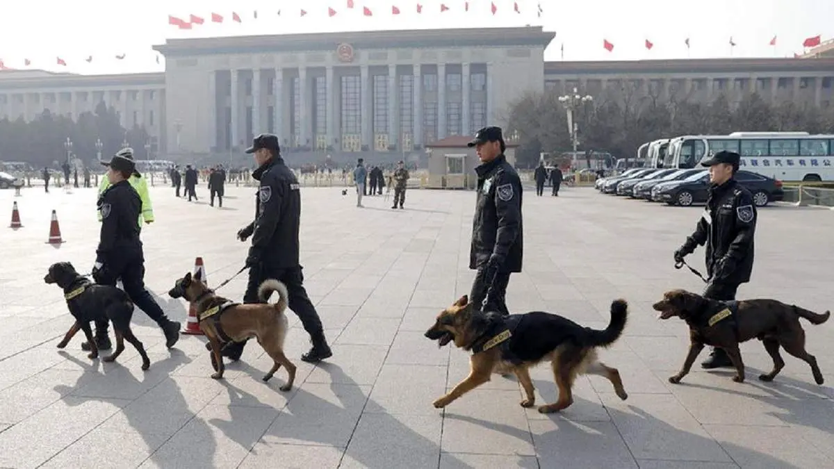 آموزش سگ‌ها برای تشخیص عفونت کرونا در فرودگاه‌ها