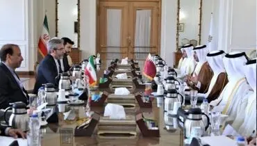 باقری: تعامل همسایگی "سیاست راهبردی" ایران است