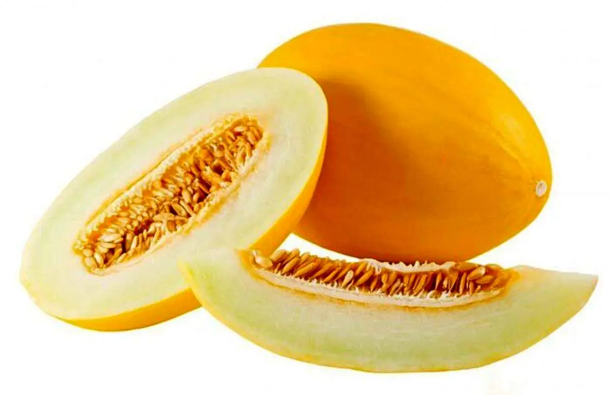 آشنایی با خواص خربزه