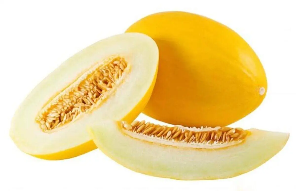 آشنایی با خواص خربزه