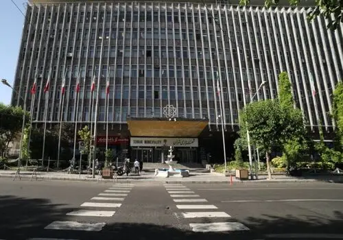 جمع‌آوری ۱۶ هزار سگ ولگرد در تهران طی سال گذشته