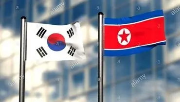 وزیر دفاع کره جنوبی خواستار پاسخ فوری به تحریکات کره شمالی شد