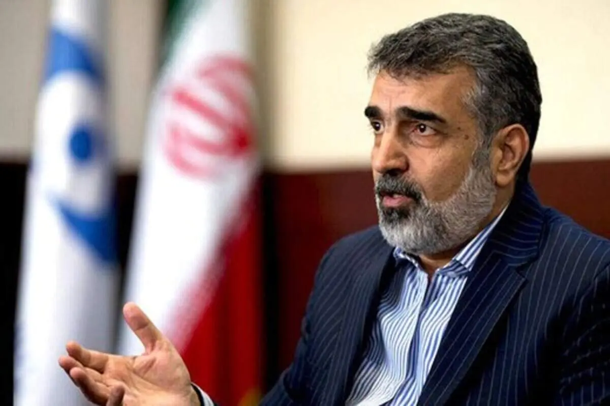 تعجب سخنگوی سازمان انرژی اتمی از سخنان مدیرکل آژانس بین‌المللی انرژی اتمی!/ صحت‌سنجی این اظهارات را آغاز کرده‌ایم