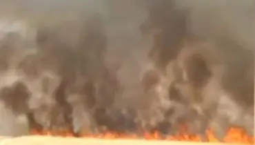 تصاویر آتش سوزی عظیم در مزارع کشاورزی منطقه نوترگی ایذه + فیلم
