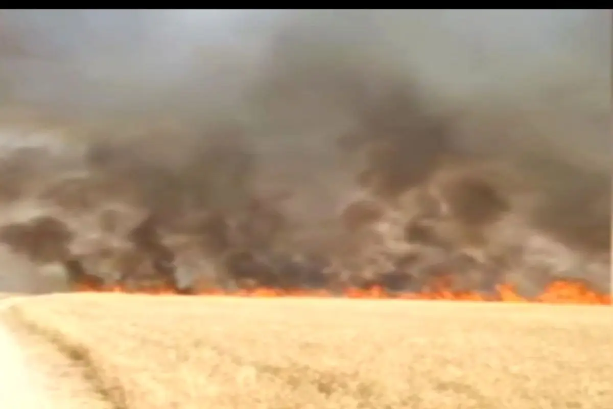 تصاویر آتش سوزی عظیم در مزارع کشاورزی منطقه نوترگی ایذه + فیلم