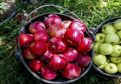 بازار شب یلدا زیر ذره‌بین؛ قیمت میوه‌های پرطرفدار یلدا مشخص شد