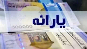 خبر مهم وزیر کار درباره یارانه ۴۰۰ هزار تومانی/ چه گروههایی یارانه نگرفتند؟