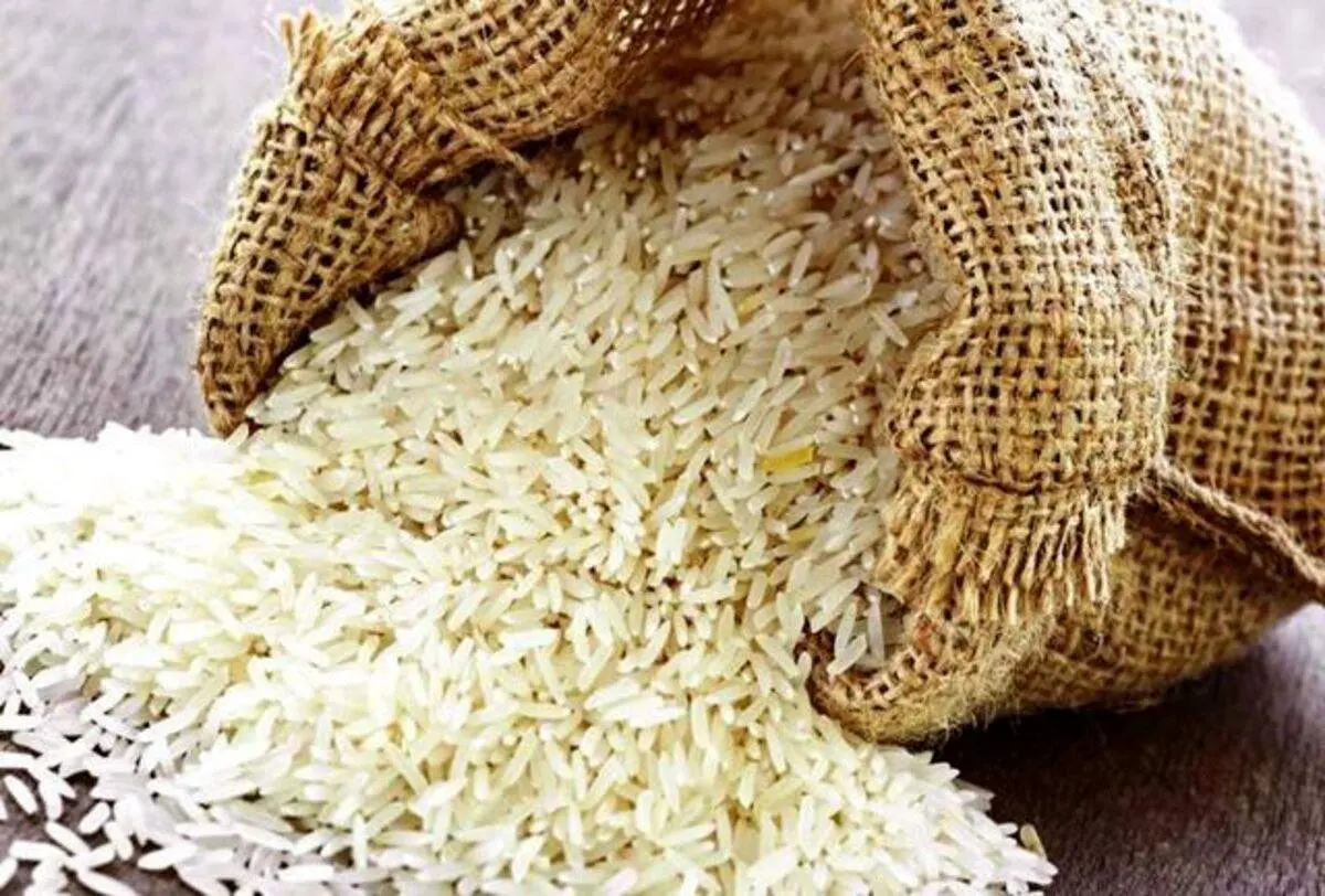 انفجار قیمت برنج ایرانی در راه است؟ / هشدار جدی درباره کاهش ذخایر