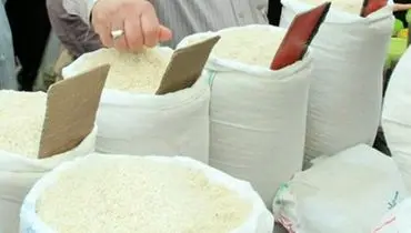 قیمت انواع برنج ایرانی در میادین میوه و تره بار تهران اعلام شد