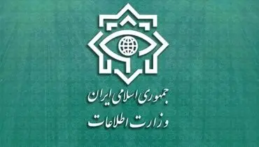 کشف ۷ هزار میلیارد تومانی کالا‌های استراتژیک کشور توسط وزارت اطلاعات/ واردات ۳۶۵ تن غذای سگ با ارز ترجیحی!