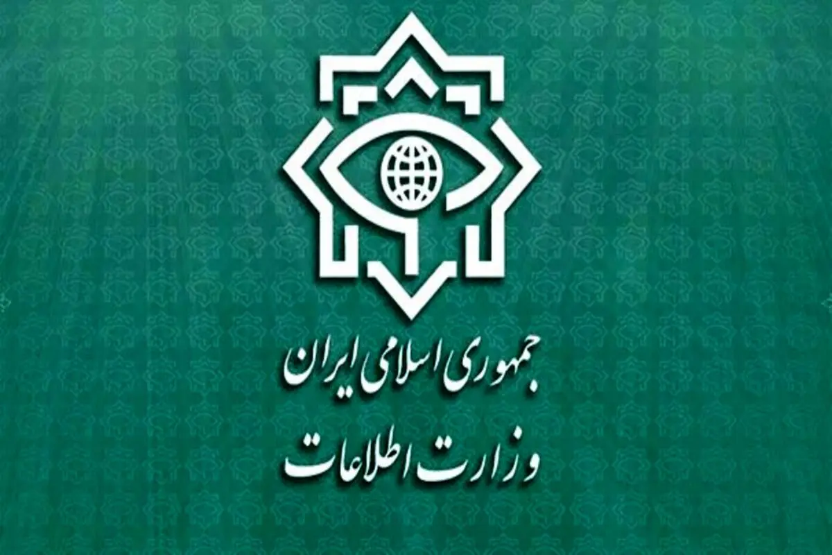 کشف ۷ هزار میلیارد تومانی کالا‌های استراتژیک کشور توسط وزارت اطلاعات/ واردات ۳۶۵ تن غذای سگ با ارز ترجیحی!