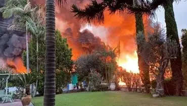 آتش سوزی گسترده در یک کارخانه چوب در شمال اراضی اشغالی + فیلم