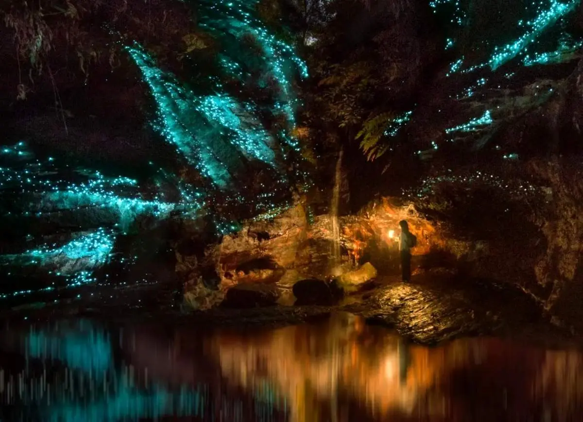 تصاویر خارق العاده از دنیای خارق العاده بیولومینسانس