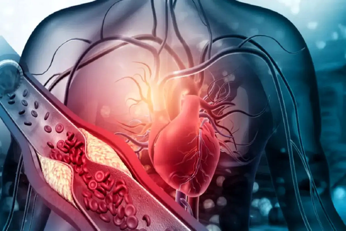شناسایی یک نوع ژل که سلول‌های قلب را جوان می کند