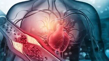 شناسایی یک نوع ژل که سلول‌های قلب را جوان می کند