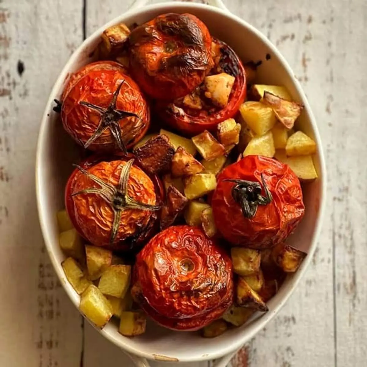 طرز تهیه دلمه گوجه