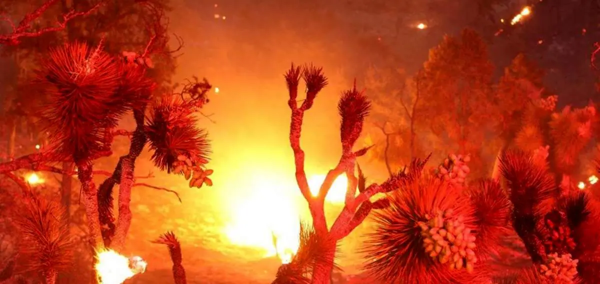 پیشروی و تشدید حریق جنگلی در جنوب کالیفرنیا