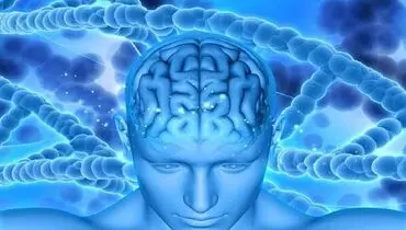تسریع روند پیری مغز در بیماران دیابتی