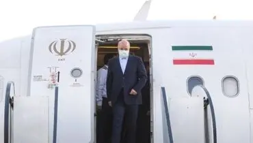 رئیس مجلس وارد همدان شد
