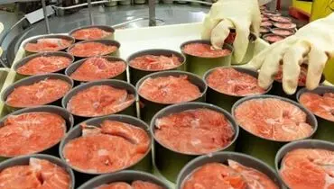 رب گوجه‌فرنگی و تن ماهی گران شد؟