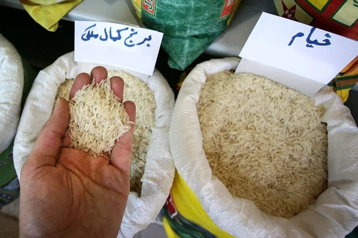 قیمت برنج کاهش می‌یابد؟