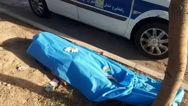 مرگ ۱۰ تهرانی در تصادفات هفته جاری/ ۳ عابرپیاده مقصر شناخته شدند!